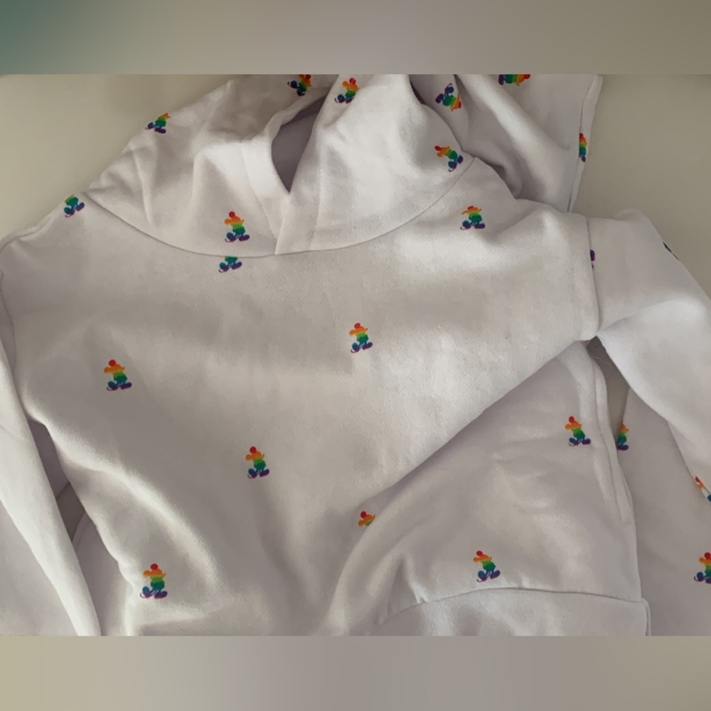 Disney pride sweater kids